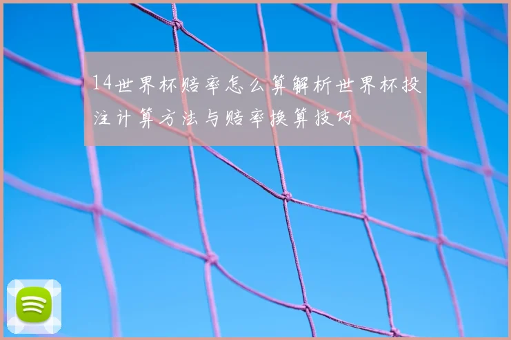 14世界杯赔率怎么算解析世界杯投注计算方法与赔率换算技巧