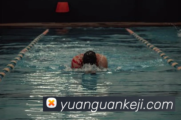 App Interface Preview