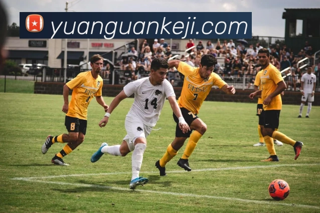 世界杯app官网APP 封面图